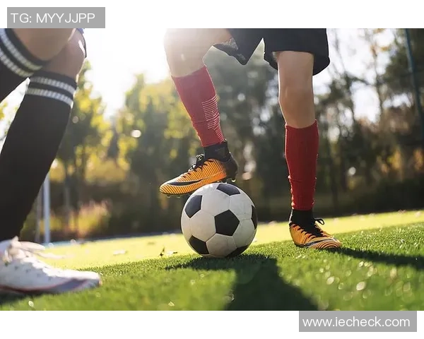 陶踢足球的快乐与成长探索在绿茵场上的激情与友谊之旅